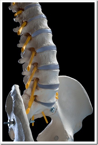Herniated Disc and Back Pain Chester VA