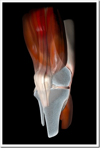 Knee Pain Chester VA Sports Injury