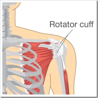 Shoulder Pain Chester VA Rotator Cuff Injury